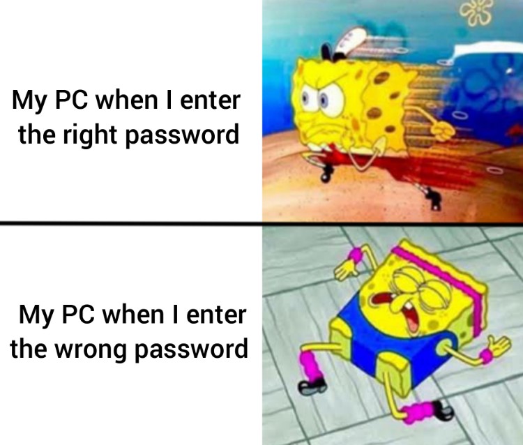 PC goes slower wrong password meme