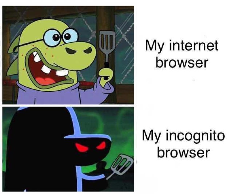 Browser vs incognito meme