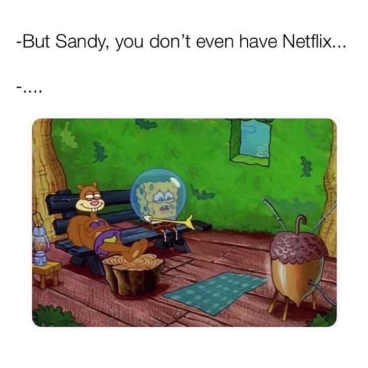 Sandy no netflix meme