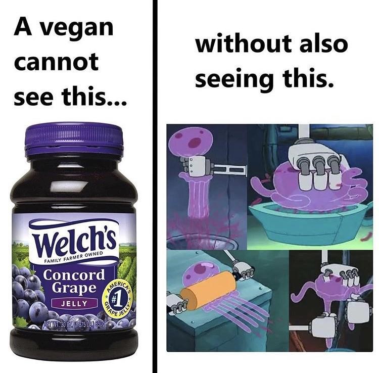 Jelly from jellyfish vegan meme