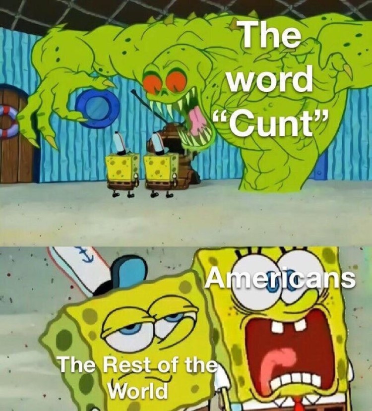 Americans swear words joke meme
