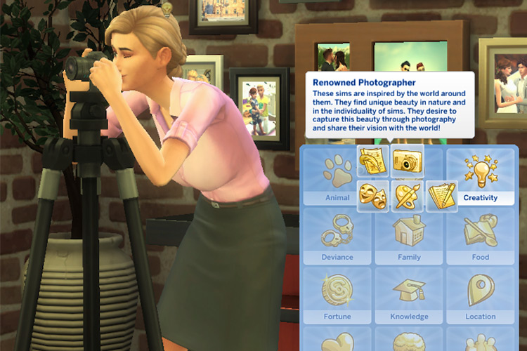 Renowned Photographer Aspiration Sims