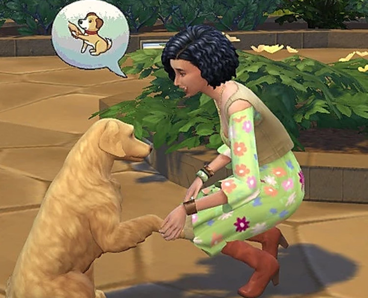 Applied Animal Behaviorist Aspiration mod