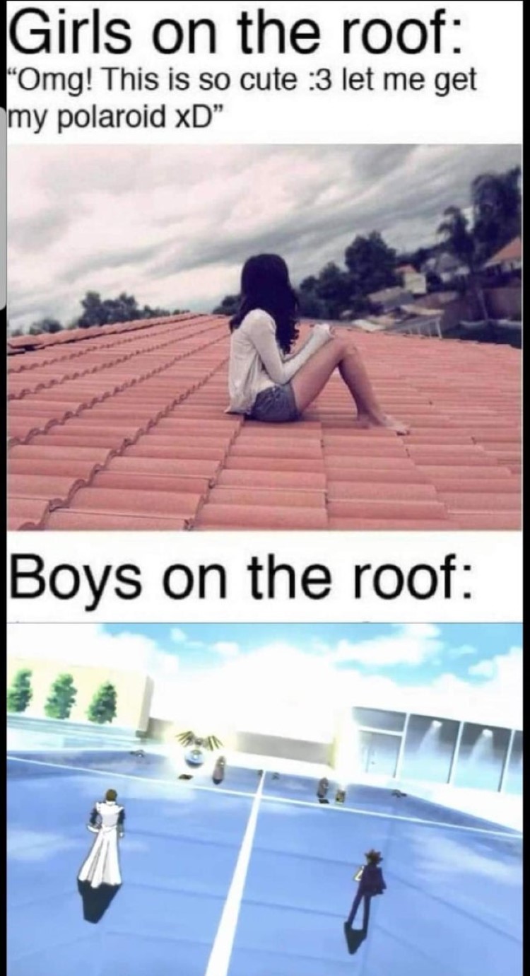 Girls on the roof vs boys