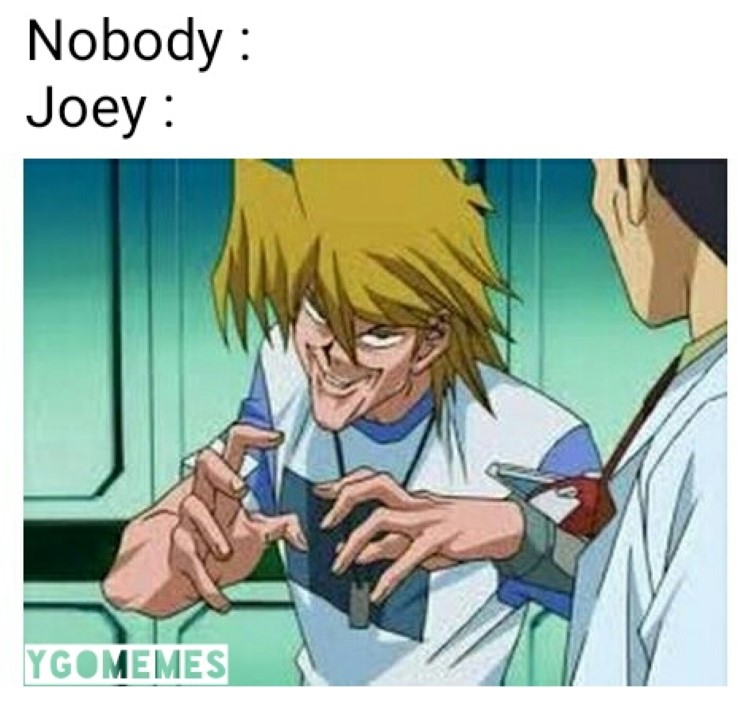 Joey Wheeler stupid face meme