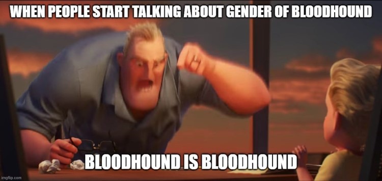 Bloodhound is Bloodhound Apex meme