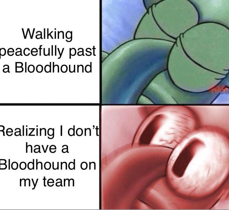 I dont have a bloodhound on my team Squidward crossover