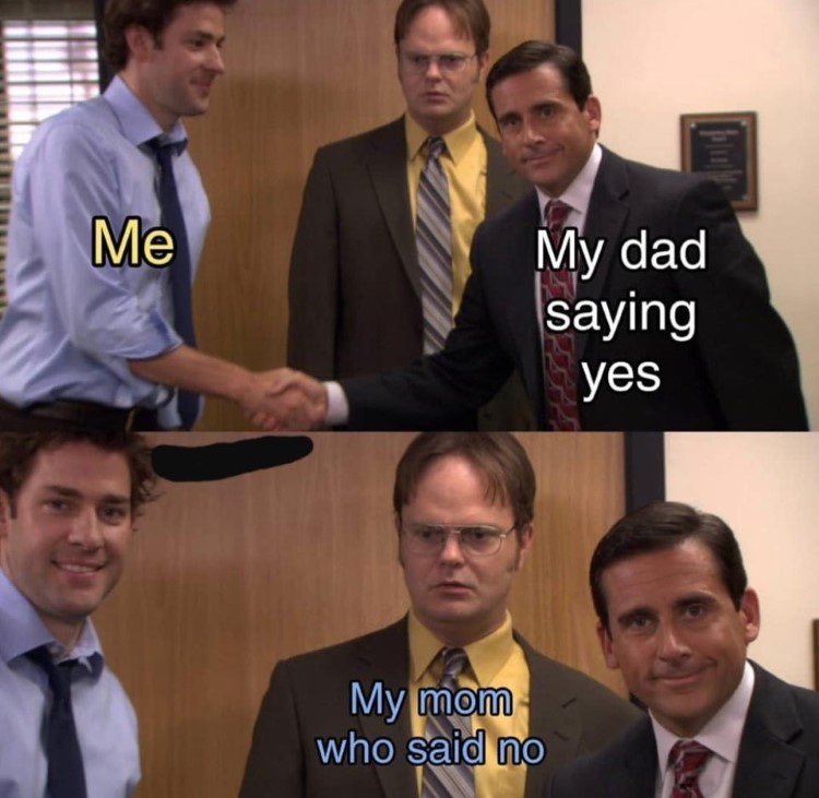 Dad saying yes mom saying no meme
