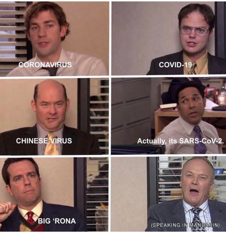 The Office Memes - Hair is so powerful 🤯