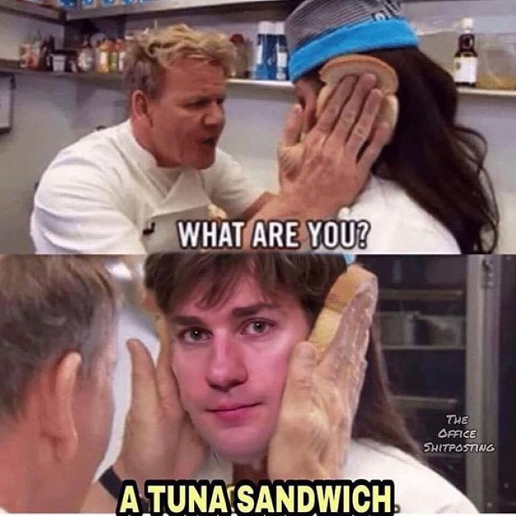 What are you? a tuna sandwich