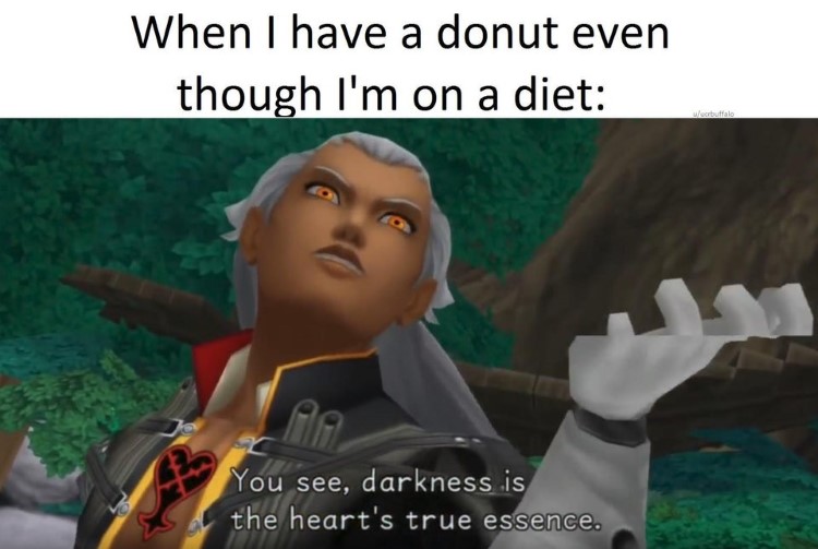 Eating a donut Ansem darkness is true essence