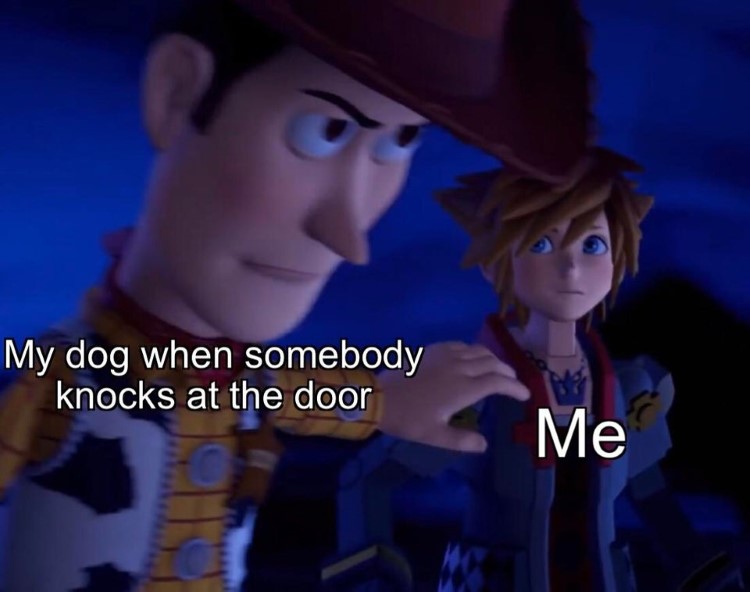 When someone knocks at door, dog KH crossover