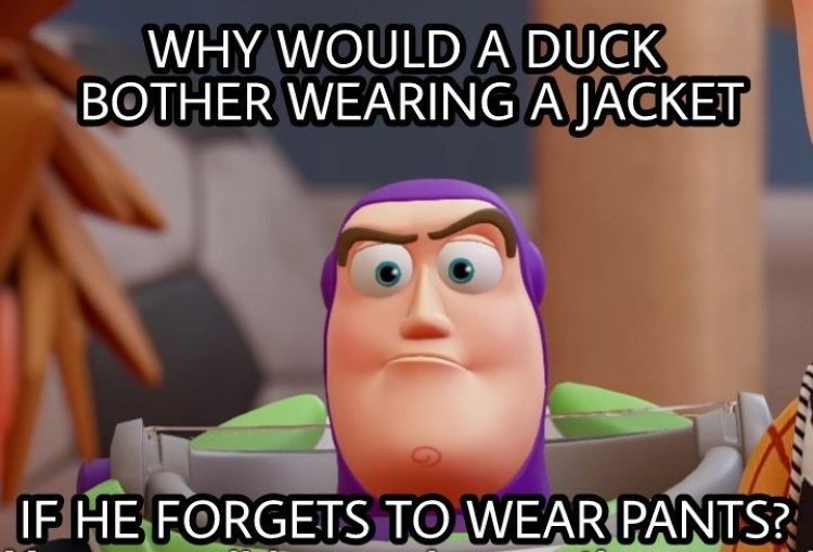 Why a duck wears a jacket with no pants