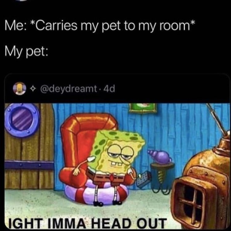 Bring pet to my room. pet: imma head out