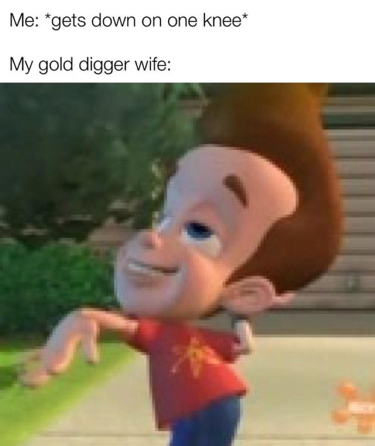 Gold digger wife joke meme