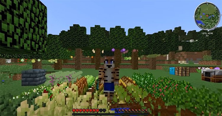 Download survival mods for Minecraft PE