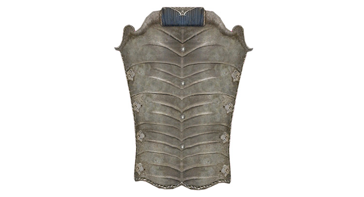 The Gray Aegis from Elder Scrolls IV Oblivion game