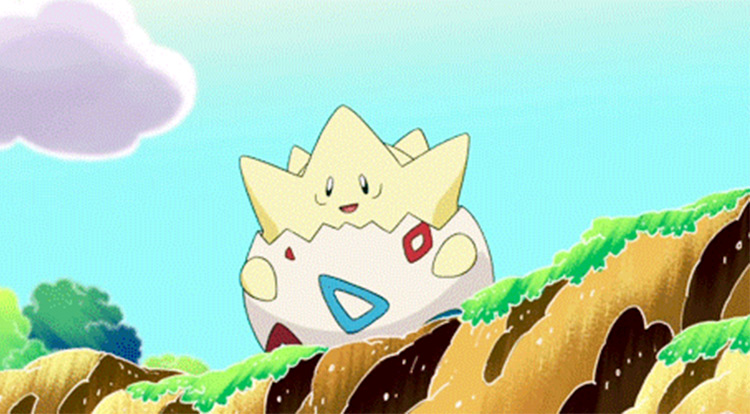 Togepi in Pokémon anime