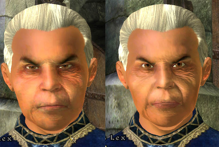 oblivion better faces mod