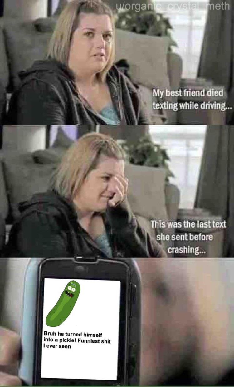 Turned himself into a pickle text meme