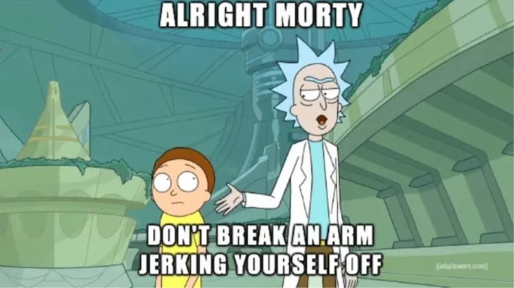 120  Funniest Rick   Morty Memes  The Ultimate Collection   FandomSpot - 99
