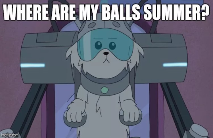 Where are my balls summer dog