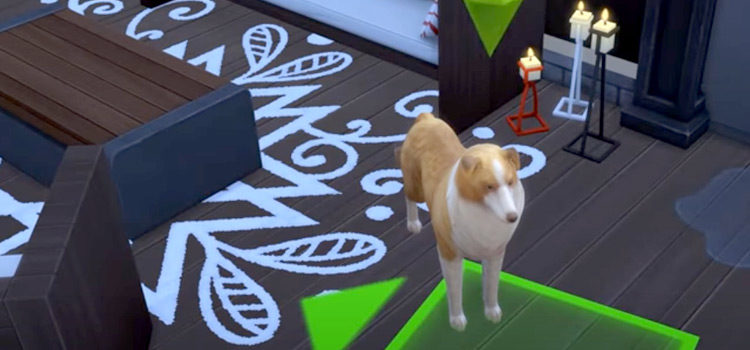 Lassy dog styled in Sims4 mod screenshot