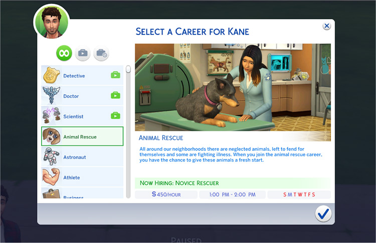 playing pets mod sims 4