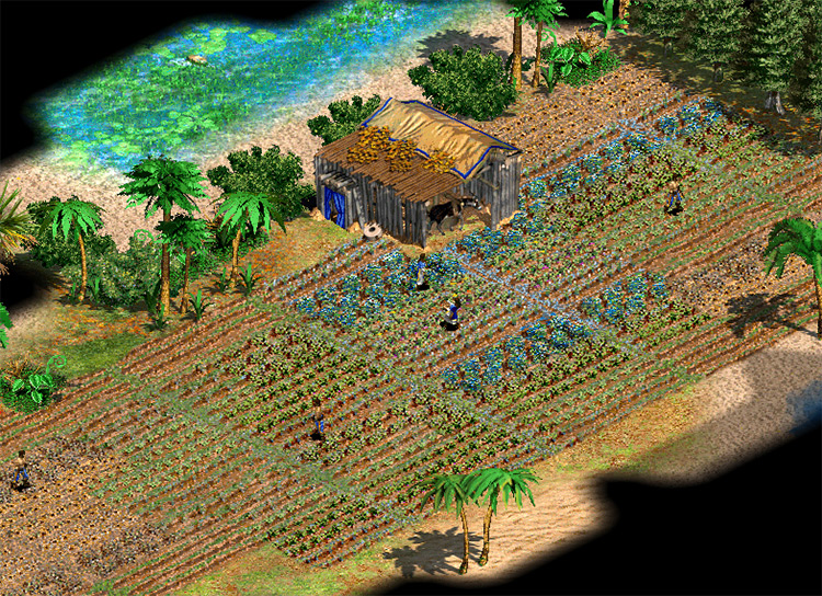 Nittlepicks Wonderful New Farms Age of Empires II