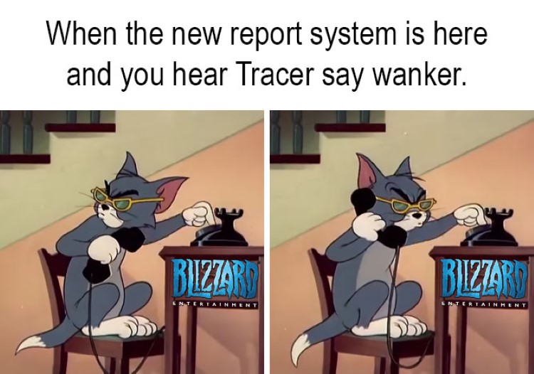 Report system Blizzard joke