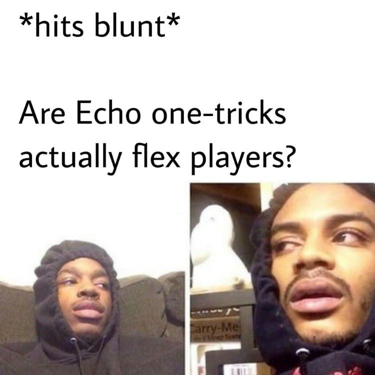 Are echo one tricks flex players meme