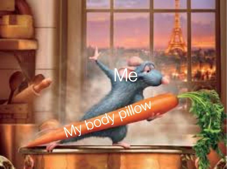 Me loving my body pillow meme