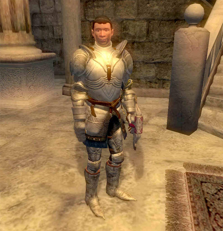 12 Best Followers   Companions in TES Oblivion   FandomSpot - 71