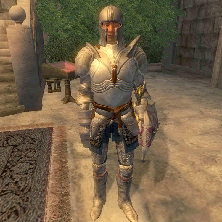 12 Best Followers   Companions in TES Oblivion   FandomSpot - 46