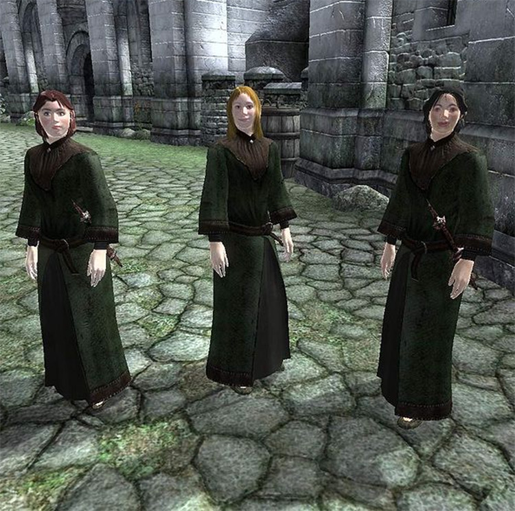 12 Best Followers   Companions in TES Oblivion   FandomSpot - 3