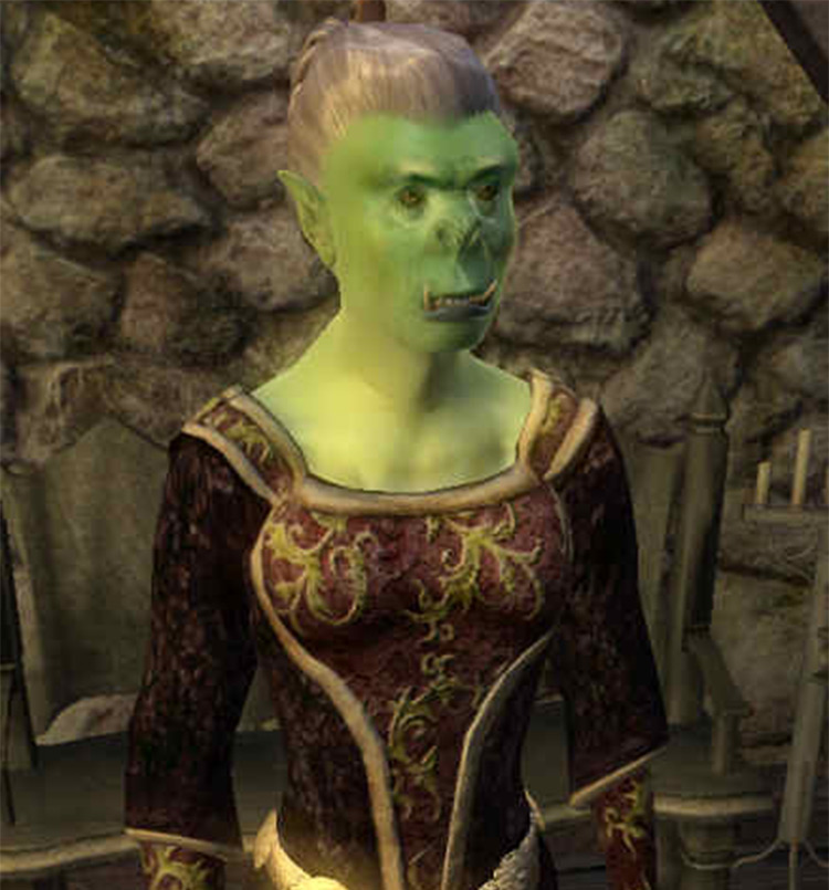 12 Best Followers   Companions in TES Oblivion   FandomSpot - 76