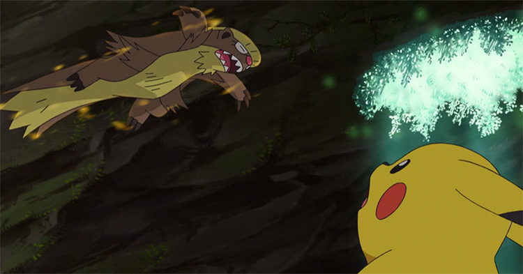 Gumshoos Pokémon in the anime
