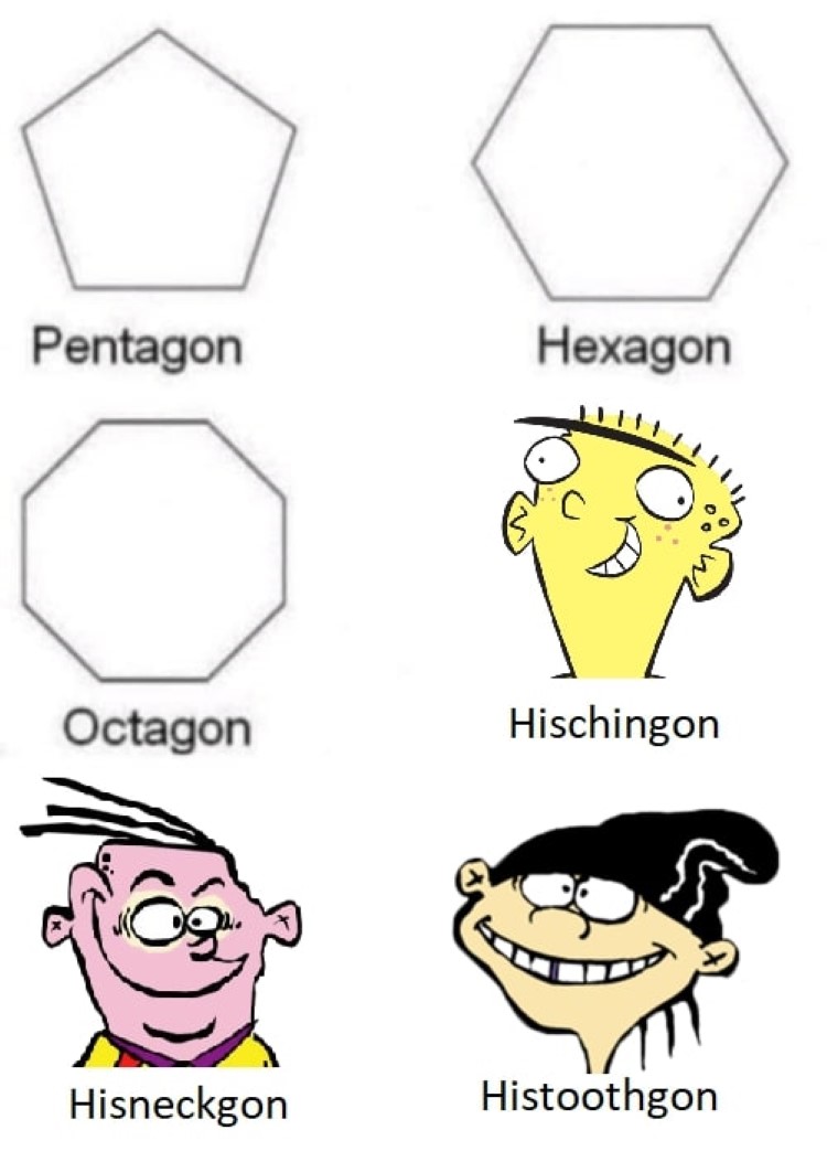 Hexagon polygon shapes EEnE
