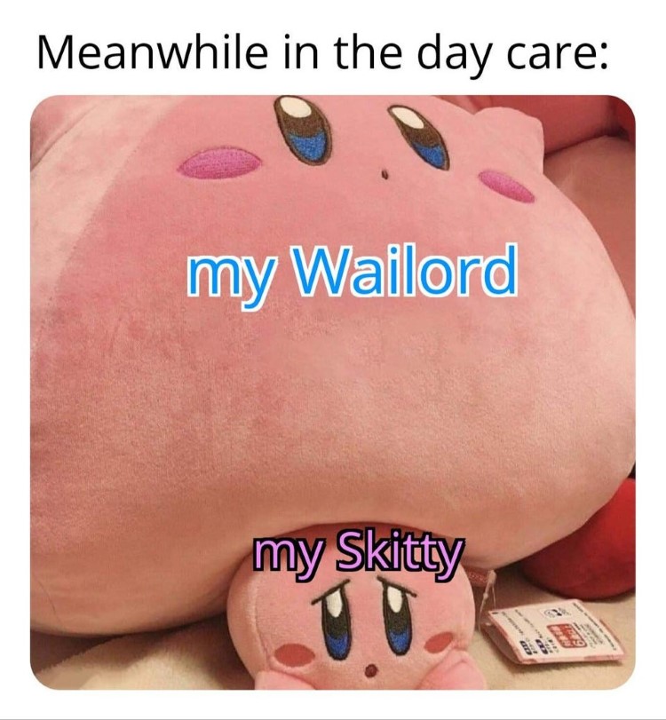 Daycare Wailord and Skitty meme