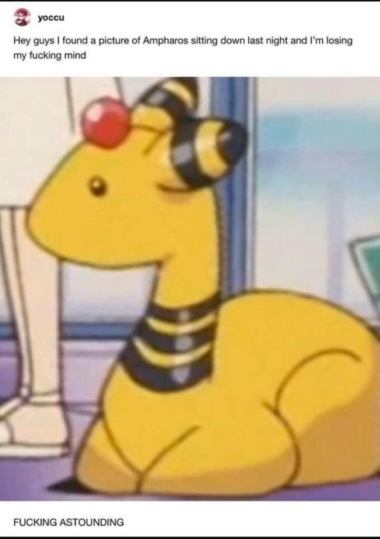 Ampharos sits like a cat meme