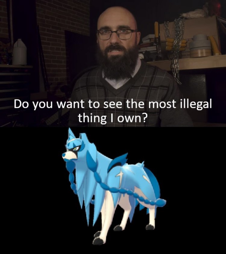 Want to see the most illegal thing I own? Blue Dog Pokemon
