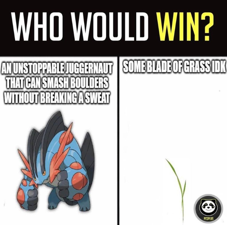 Who would win? Pokemon meme