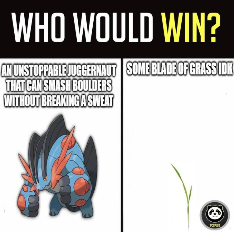 Pokémemes Pokemon memes, Pokemon funny, Pokemon