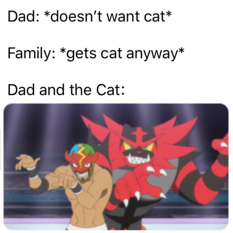 Dad doesnt get cat, then loves the cat anyway