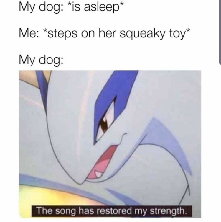 Dog hears noise. Lugia: the song has restored my strength