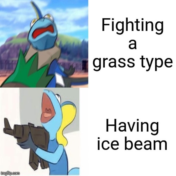 Fighting grass types and having ice beam meme