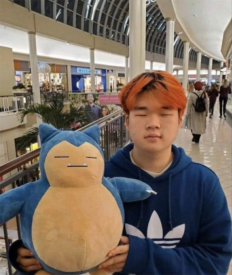 Snorlax and real life owner meme
