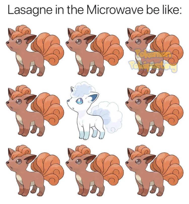 Lasagne in the microwave, Vulpix meme