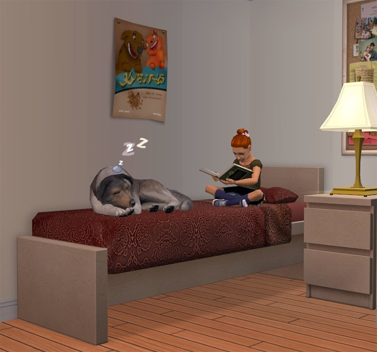 the sims 2 mods