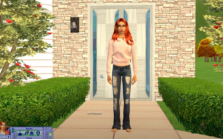 Sim Blender in The Sims 2